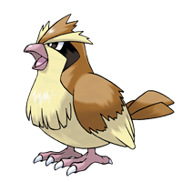 Покемон Пиджи (Pidgey) отсутствует в игре Sword & Shield Покемон Пиджи (Pidgey) отсутствует в игре Sword & Shield