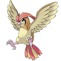 Покемон Пиджеотто (Pidgeotto) отсутствует в игре Sword & Shield