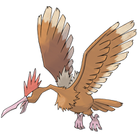 Покемон Фироу (Fearow) отсутствует в игре Sword & Shield