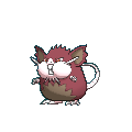 Модель покемона Алоловский Ратикейт (Alolan Raticate), Шайни в игре Sun & Moon
