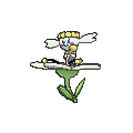 Покемон Белый цветок (White Flower), Шайни отсутствует в игре Sun & Moon