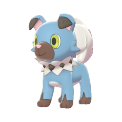 Модель покемона Сумеречный Рокруфф (Dusk Rockruff), Шайни в игре Sword & Shield