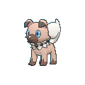Модель покемона Сумеречный Рокруфф (Dusk Rockruff) в игре UltraSun & UltraMoon